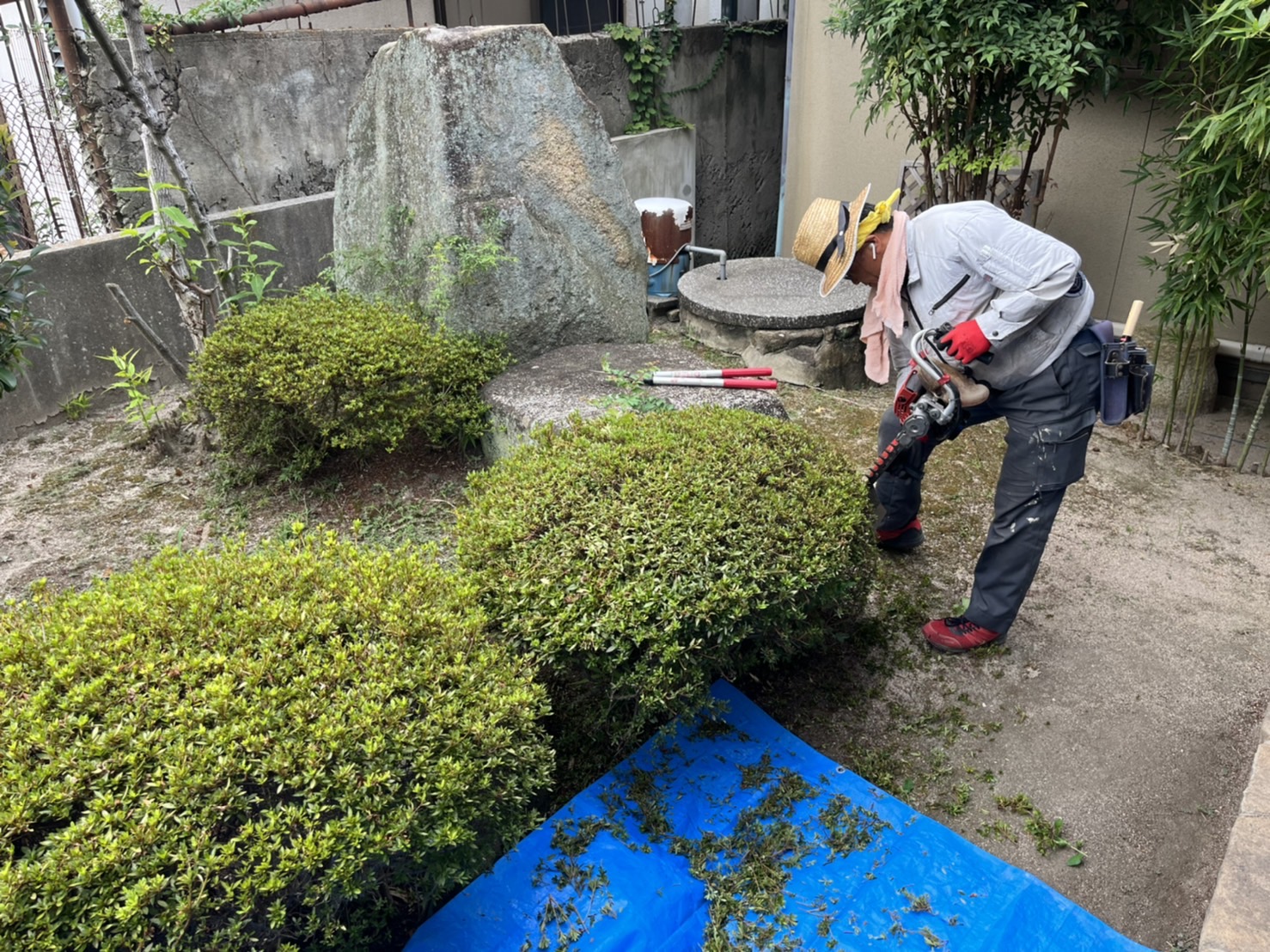 草刈 シート貼り