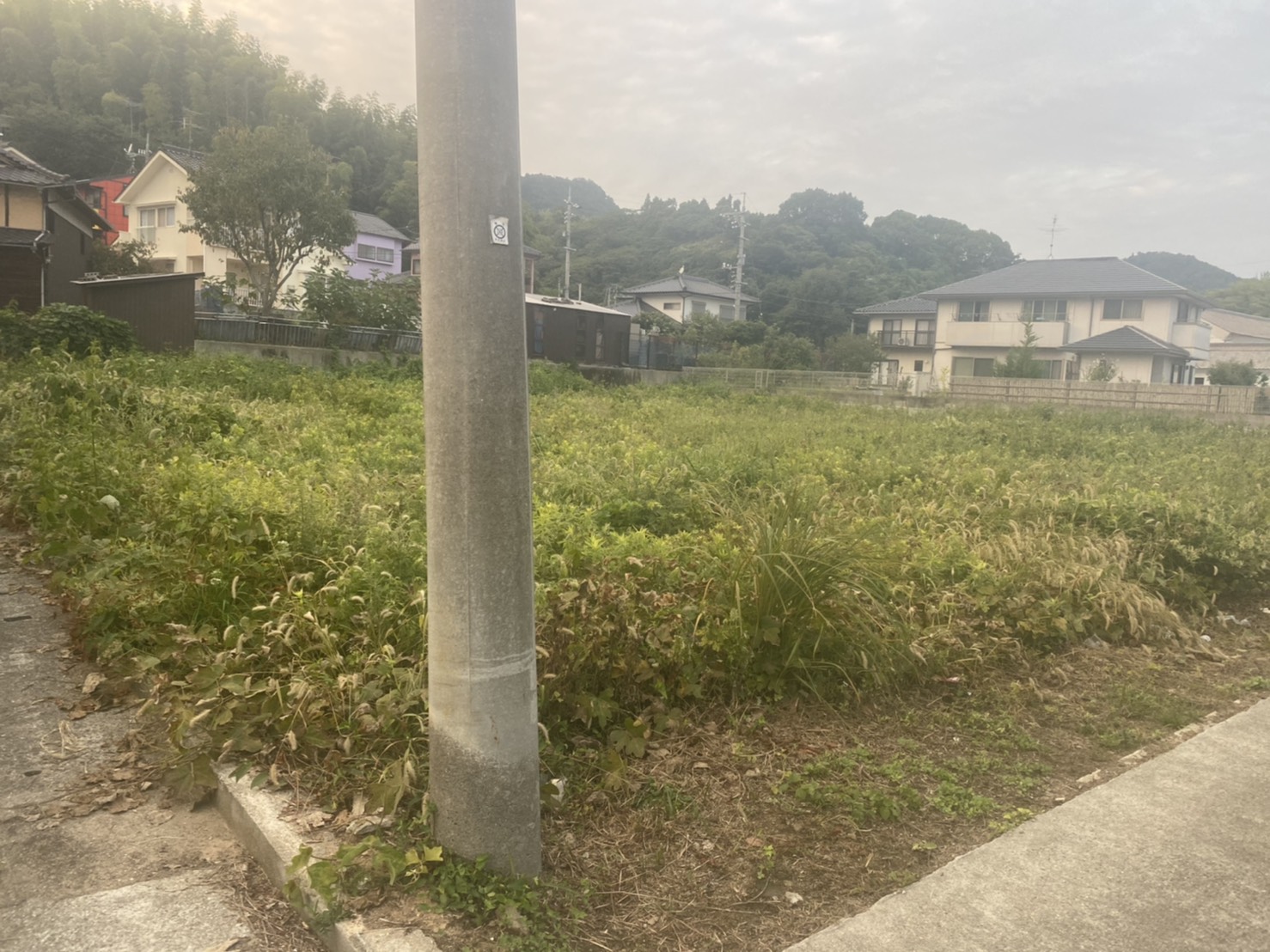 呉市内、東広島市にて草刈、撤去など行っておりますので、お気軽に問い合わせください☆