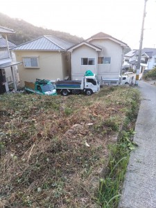 11月3日 (3)