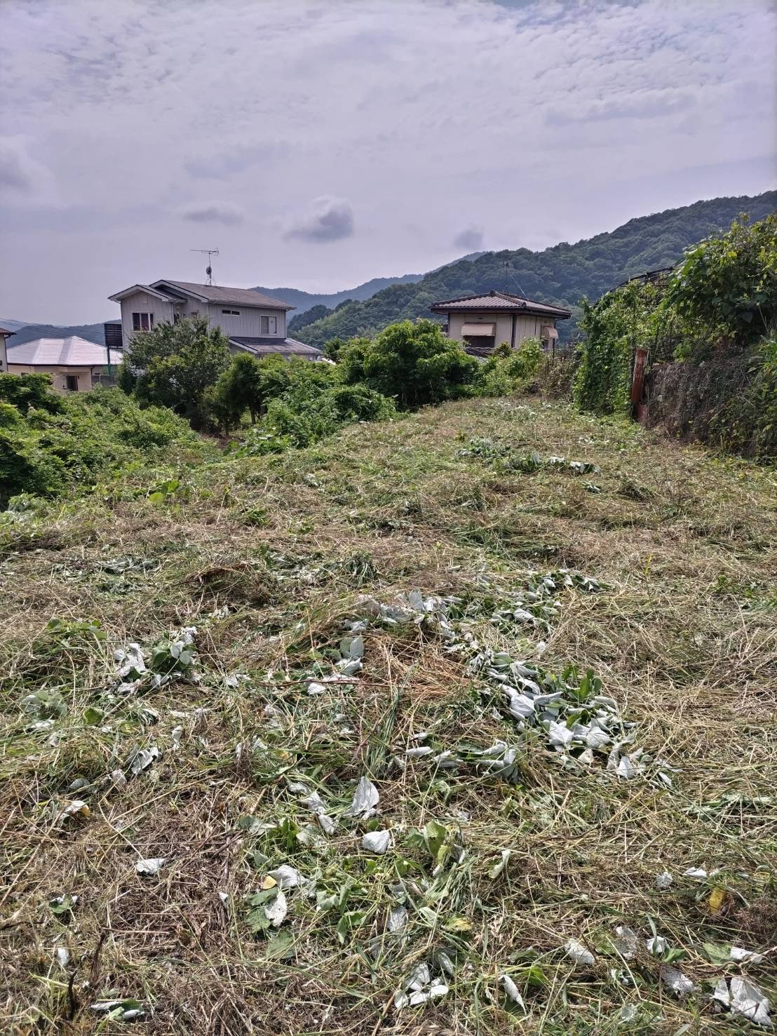 毎年管理草刈を行いました。