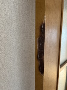 1月13日 (1)