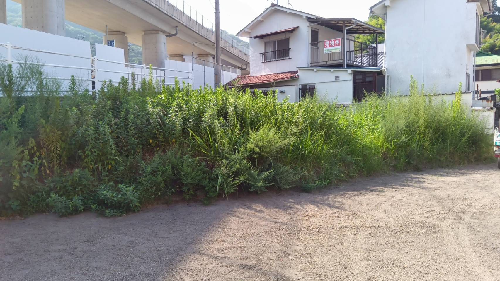 草刈りを行いました。