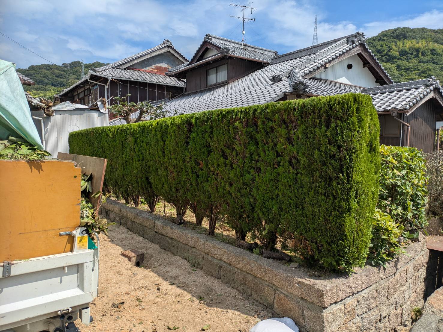 剪定を行いました。