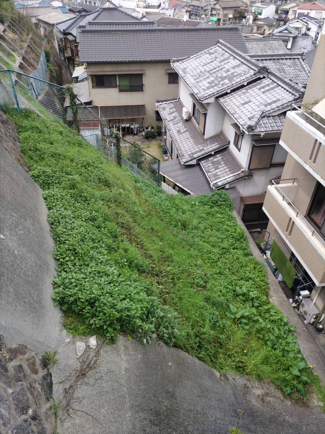 呉市内にて草管理を行いました。