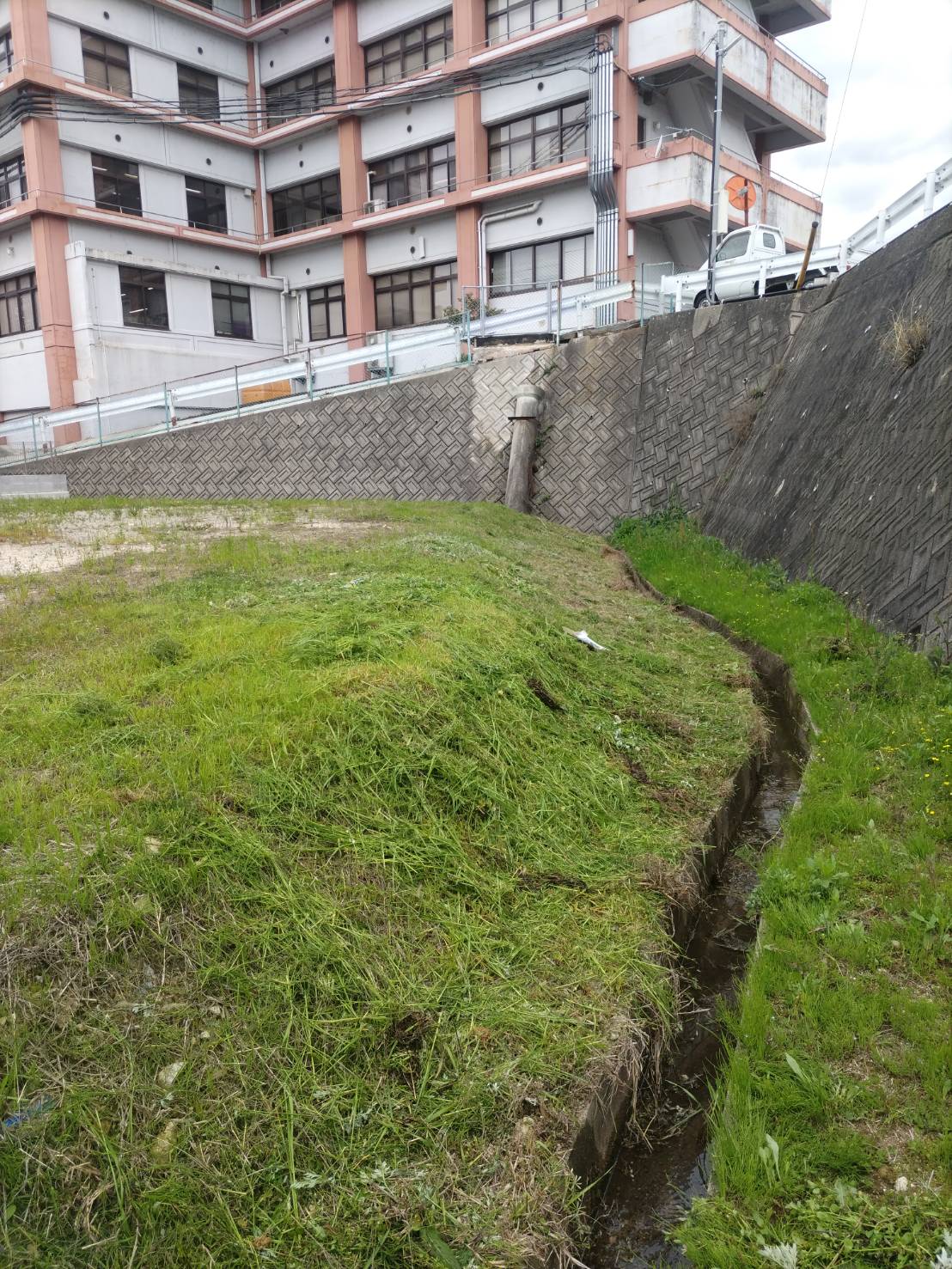 黒瀬にて草刈、管理を行いました。