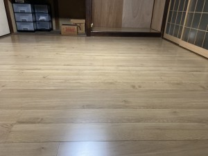 3月12日 (1)