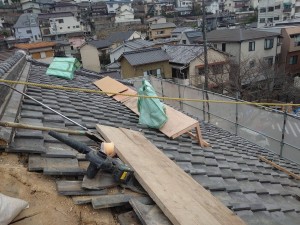 3月16日 (1)