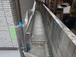44061