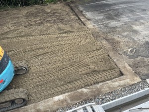 5月20日 (3)