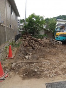 5月20日 (3)