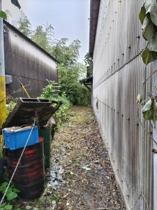 5月30日 (6)