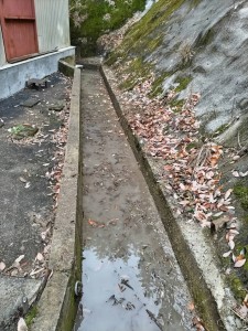 6846