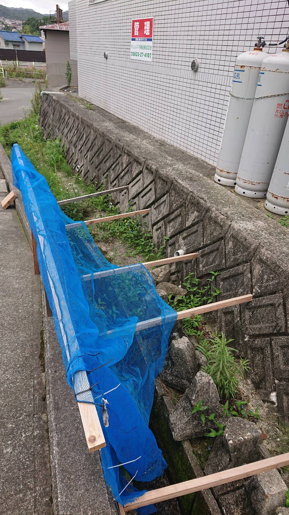 呉市焼山にて管理物件草刈り工事を行いました。
