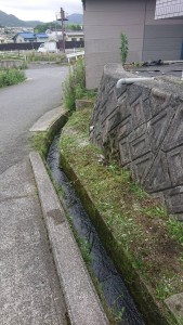 69525