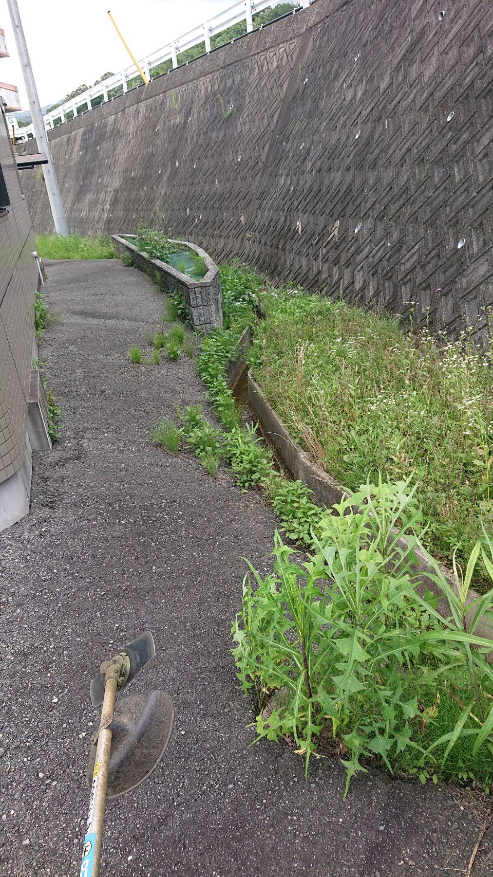 草刈シーズンですね。黒瀬町にて草刈。