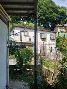 6月10日 (4)
