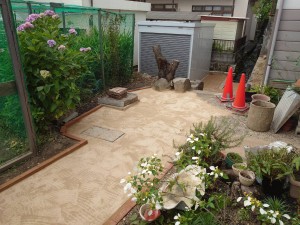 6月17日 (3)