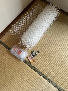 6月4日 (4)