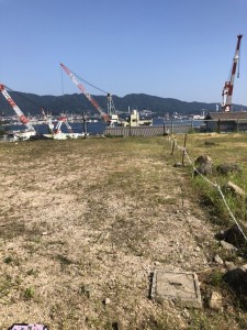 7月29日刈った後 (1)