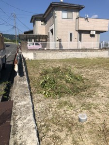 7月29日刈った後 (3)