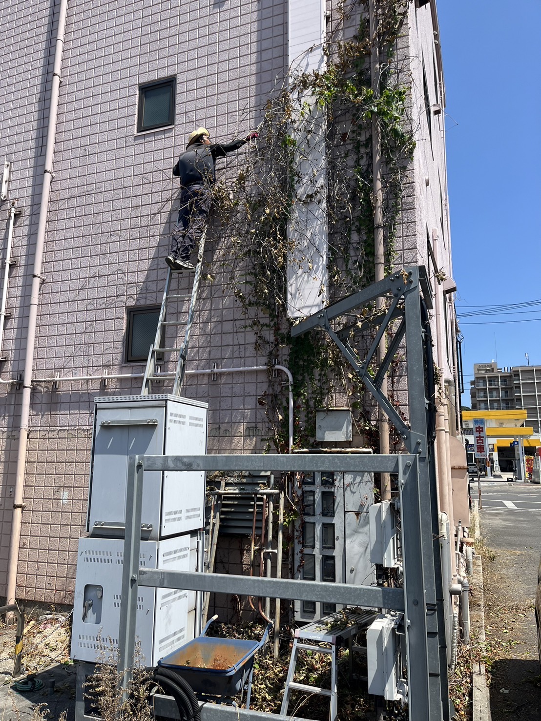 呉市広の草取りを行いました。