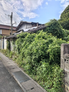 8月27日 (1)
