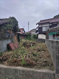 8月28日 (7)