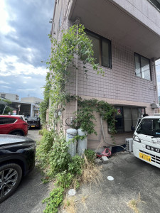 8月4日 (1)