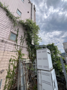 8月4日 (2)