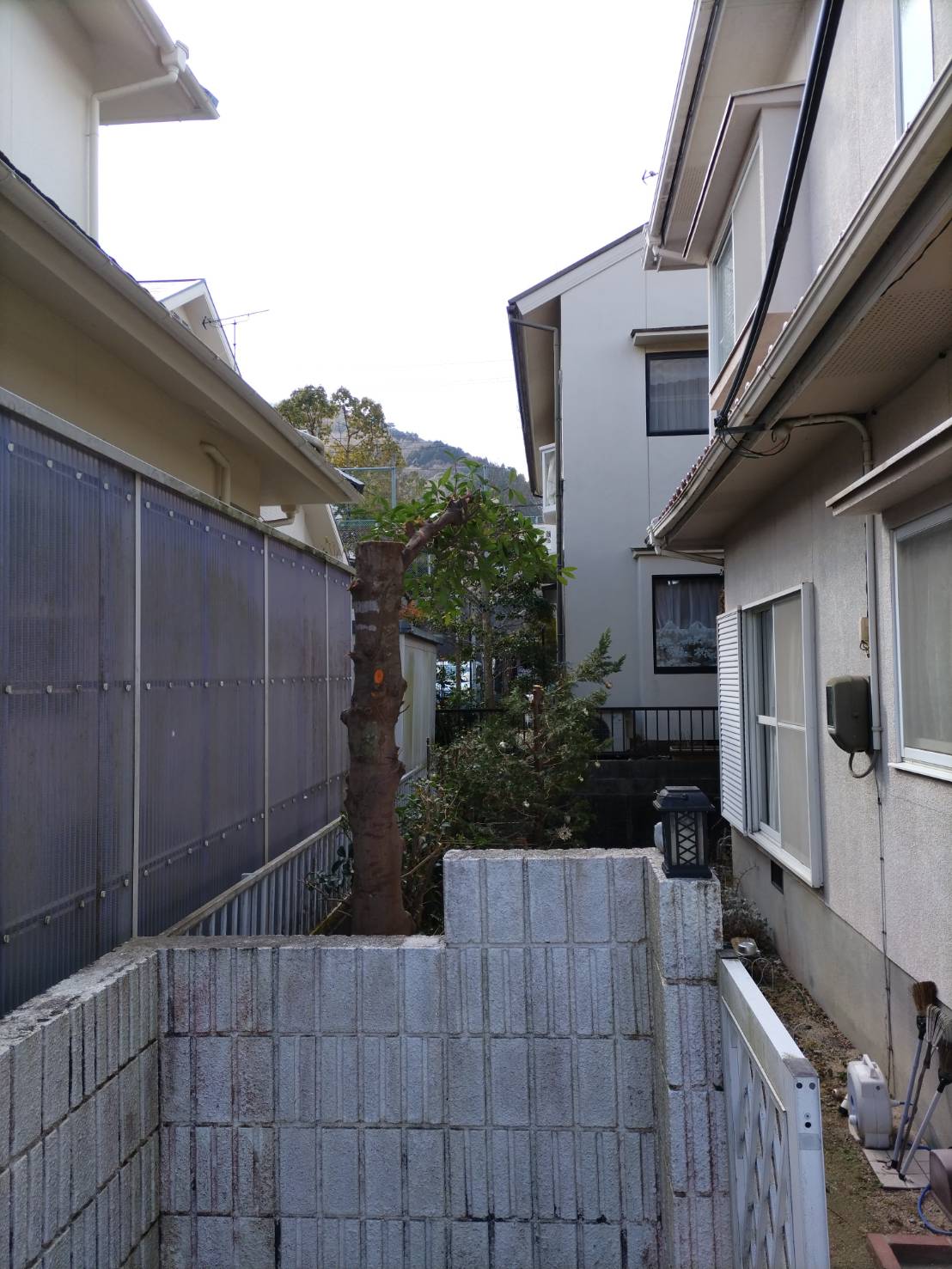 本日は伐採・根がらしを行わせていただきました。