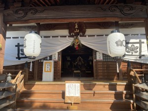 IMG_4629