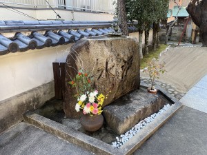 IMG_4630