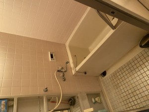 IMG_4645
