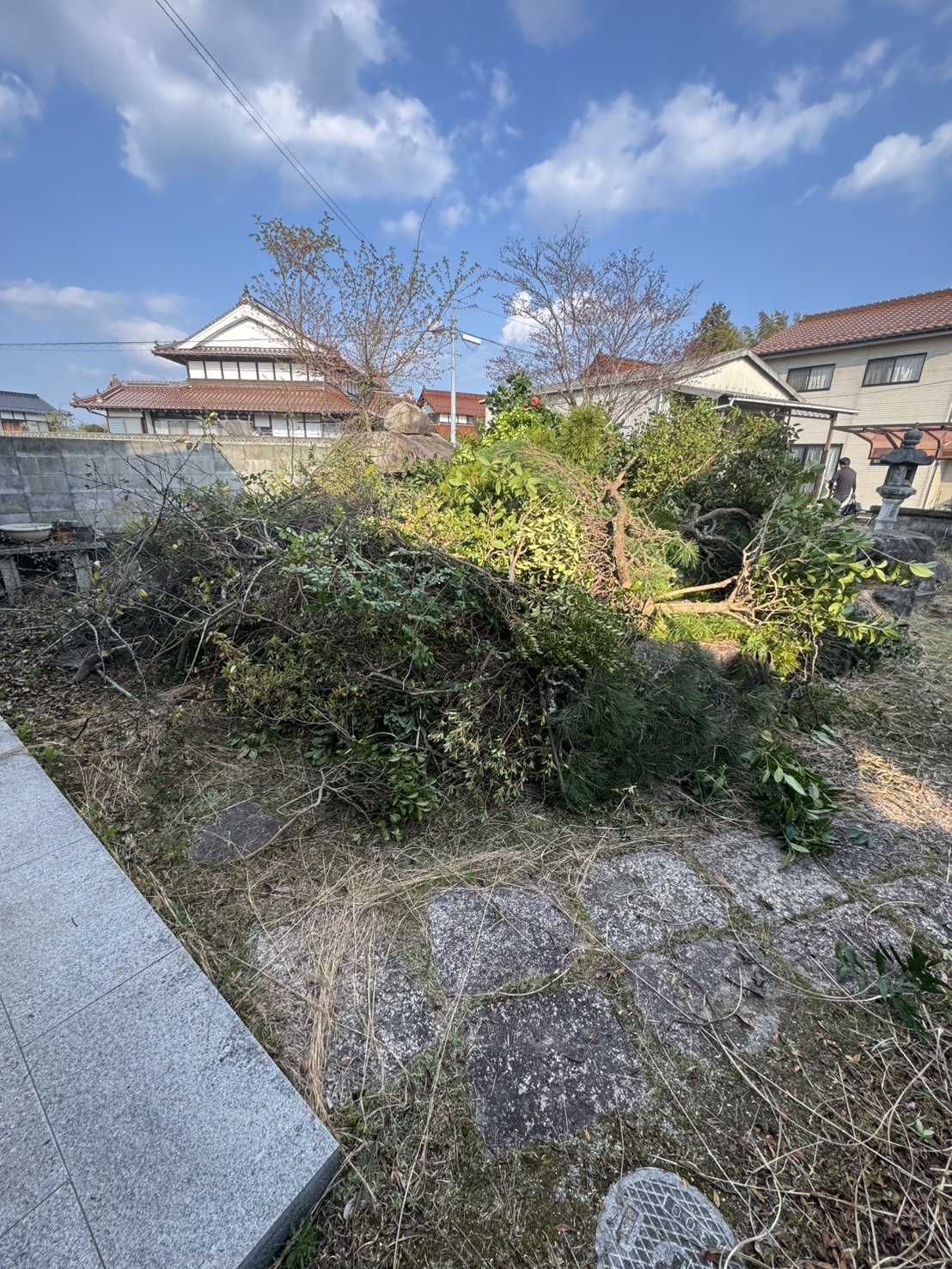 草刈りを行いました