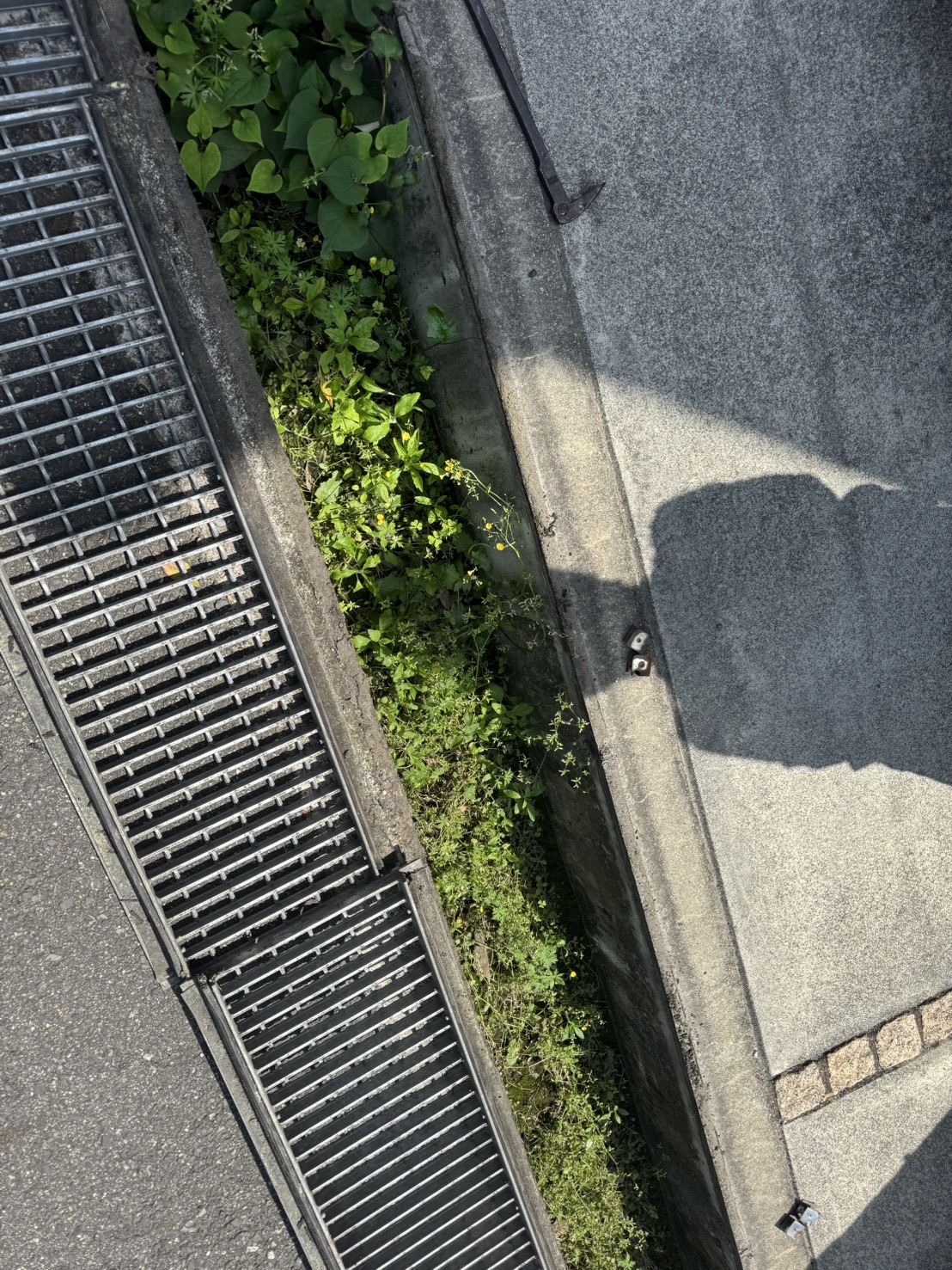 溝の片付けを行いました！