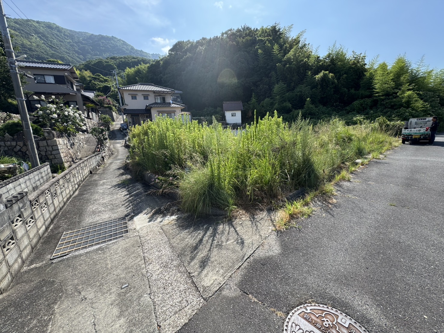 草刈りを行いました。