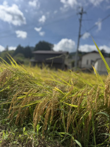 S__116473884