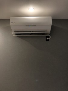 S__204824584_0