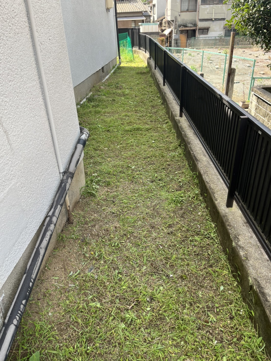 管理草刈継続中。