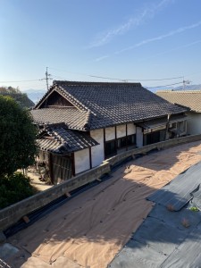 S__26206235