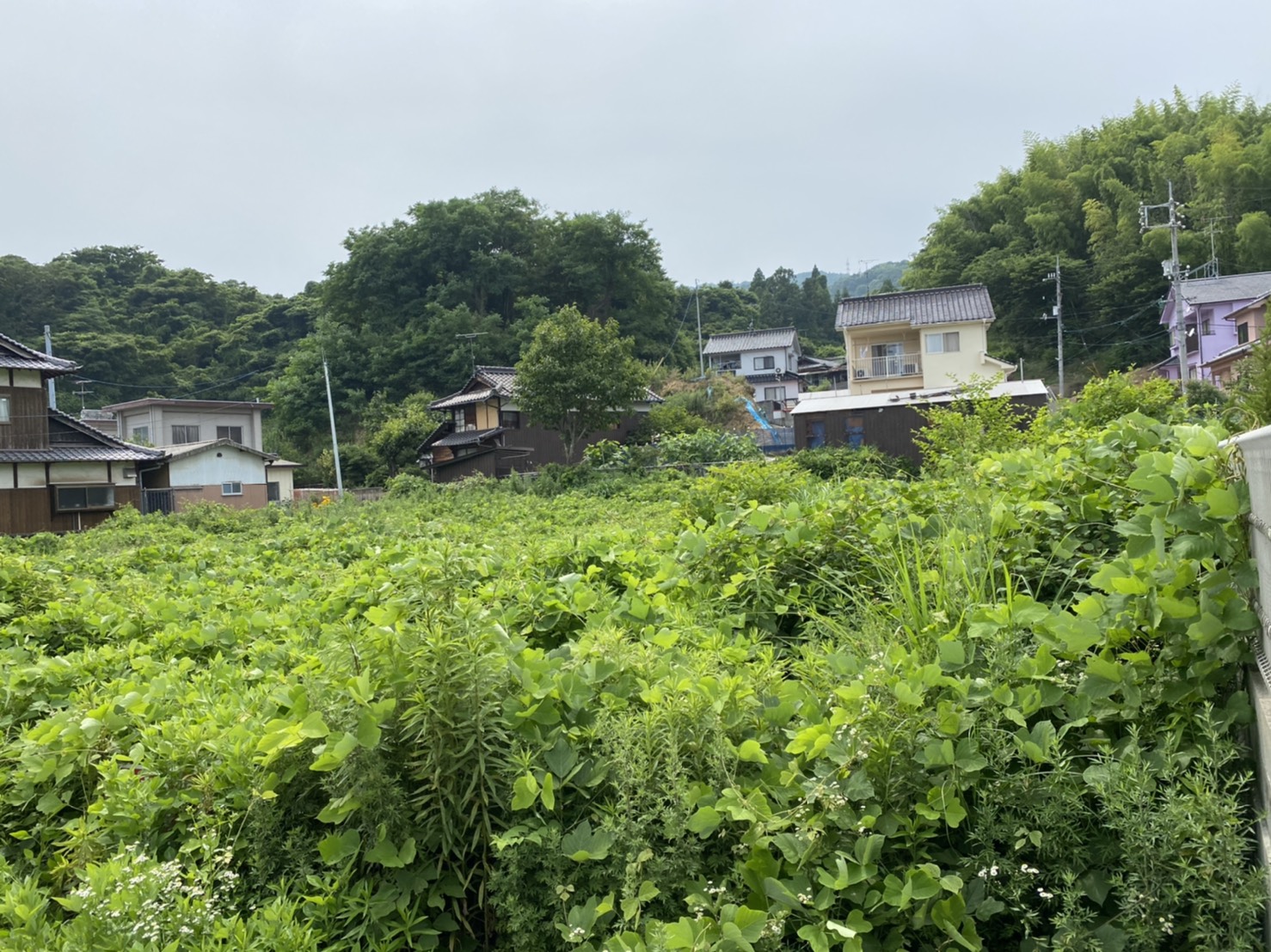 呉市、東広島市、安芸区、安芸郡、広島市など草刈工事の相談は藤川企画へ
