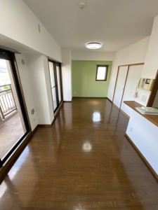 S__31842306