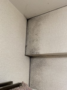 S__33374266