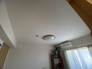 S__33374267