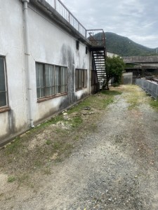 S__35266581