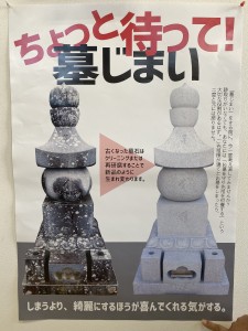 S__36888578