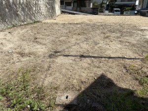 S__38871050