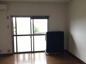 S__43753484