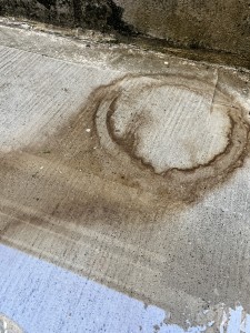 S__70787111