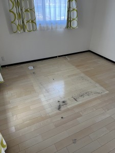 S__70893572